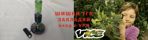 PSILOCYBIN Алзамай