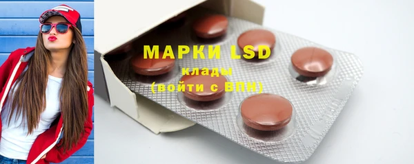 PSILOCYBIN Алзамай