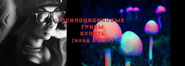 шишки Сатка