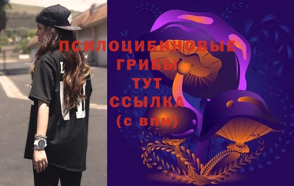 PSILOCYBIN Алзамай