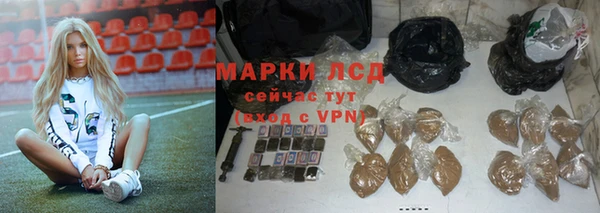 PSILOCYBIN Алзамай